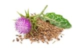 Milk Thistle: How to Take, Benefits and Side effects